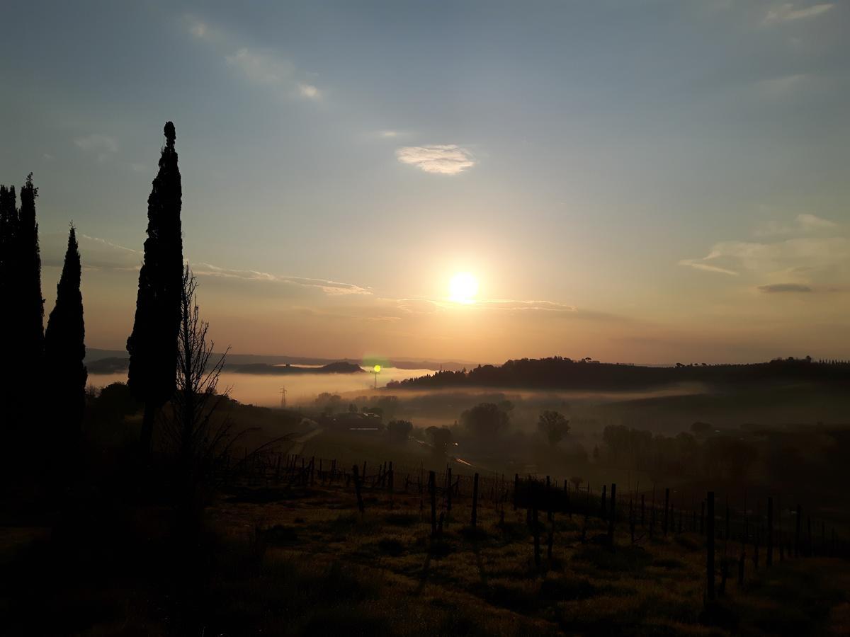Agriturismo Villino Del Grillo San Gimignano Buitenkant foto