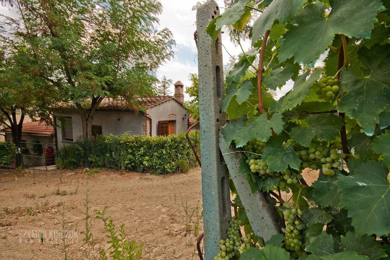 Agriturismo Villino Del Grillo San Gimignano Buitenkant foto
