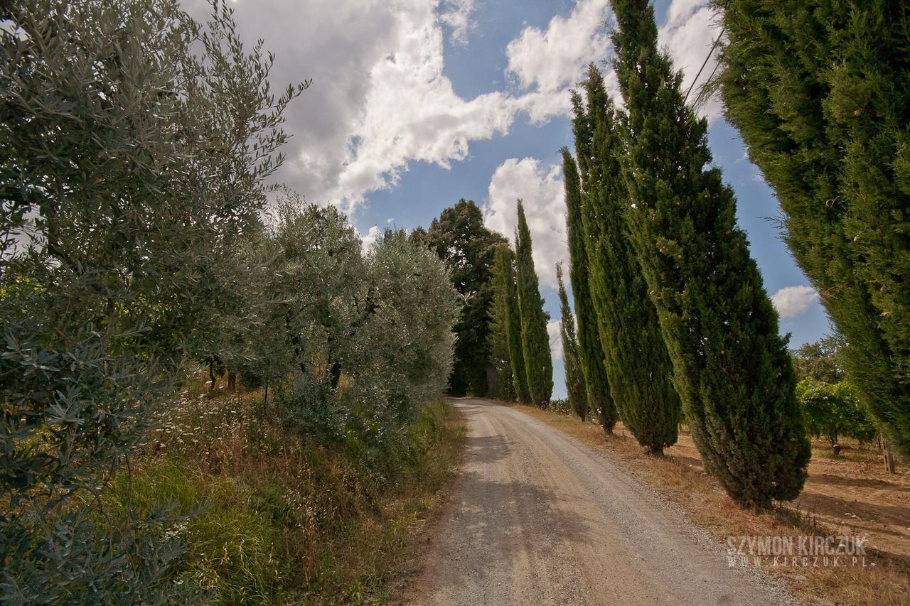 Agriturismo Villino Del Grillo San Gimignano Buitenkant foto