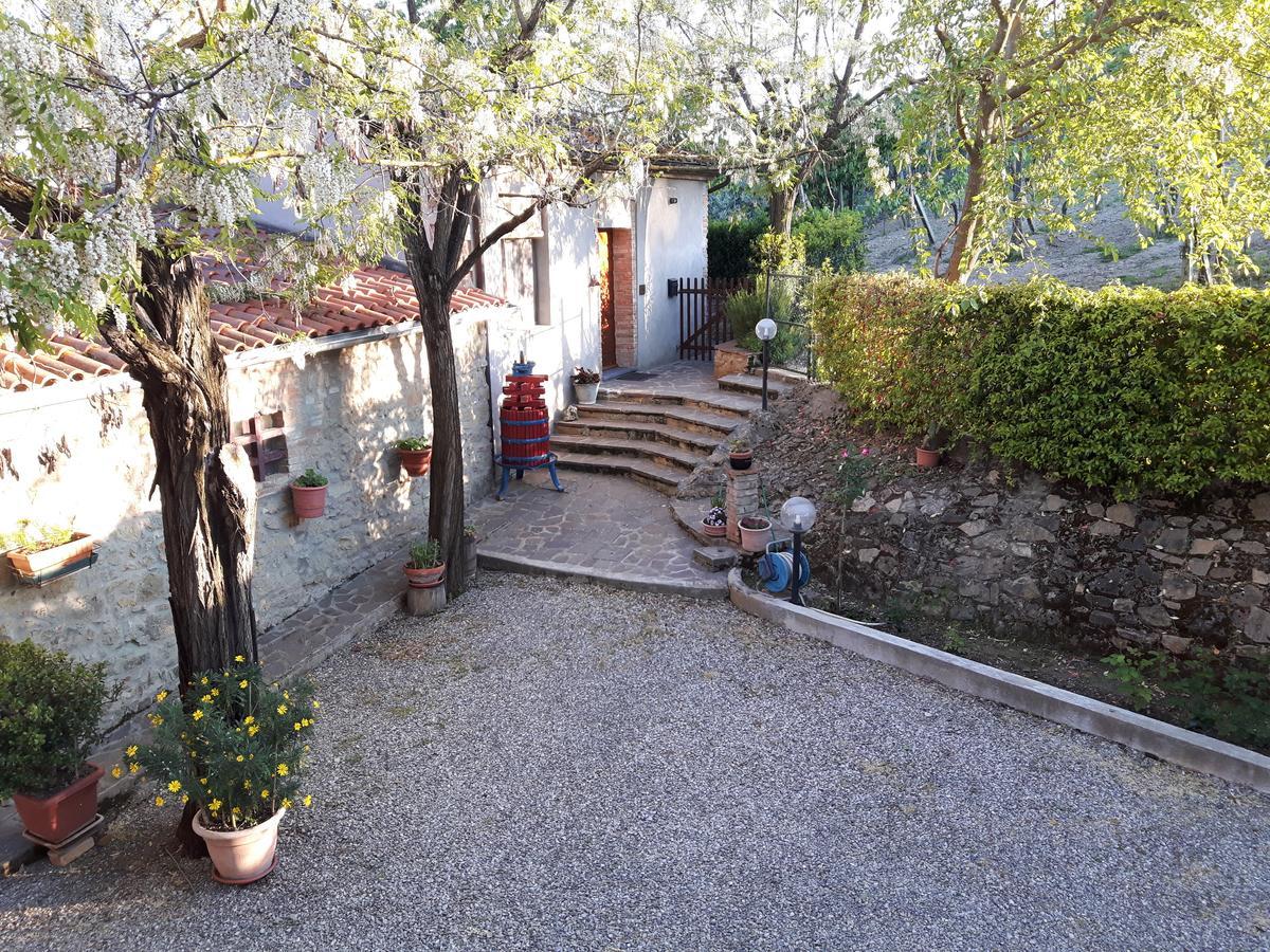 Agriturismo Villino Del Grillo San Gimignano Buitenkant foto
