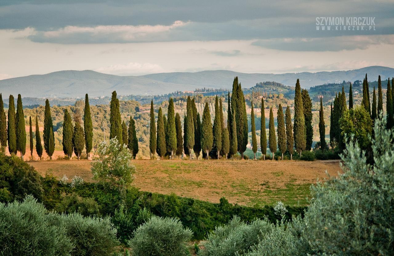 Agriturismo Villino Del Grillo San Gimignano Buitenkant foto