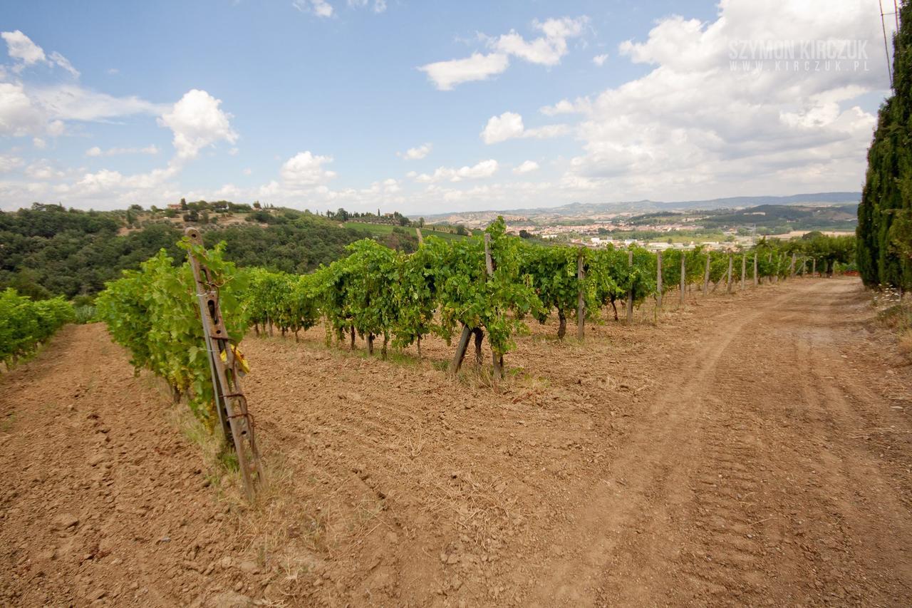 Agriturismo Villino Del Grillo San Gimignano Buitenkant foto